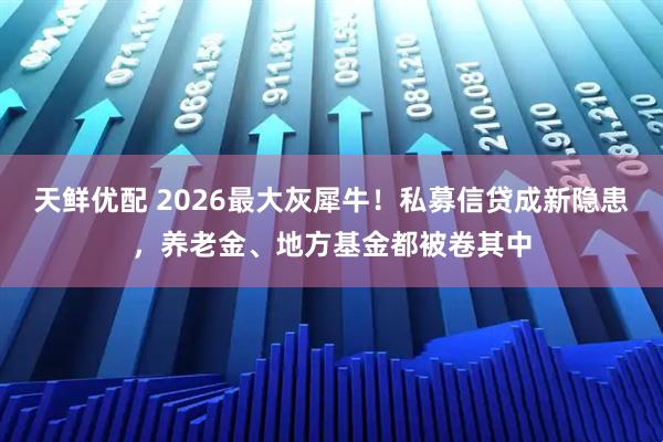 天鲜优配 2026最大灰犀牛！私募信贷成新隐患，养老金、地方基金都被卷其中