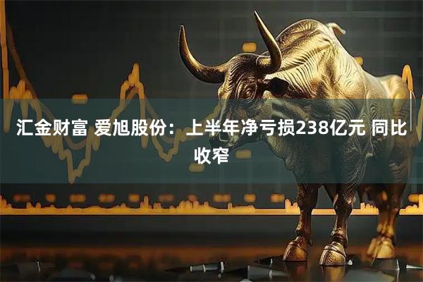 汇金财富 爱旭股份：上半年净亏损238亿元 同比收窄