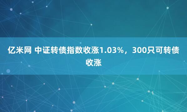 亿米网 中证转债指数收涨1.03%，300只可转债收涨