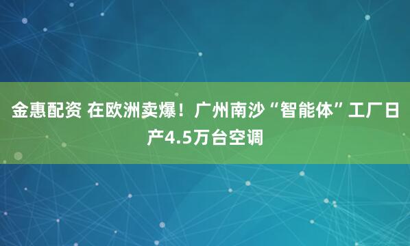 金惠配资 在欧洲卖爆！广州南沙“智能体”工厂日产4.5万台空调