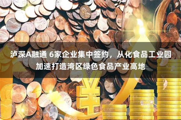 泸深A融通 6家企业集中签约,从化食品工业园加速打造湾区绿色食品产业高地